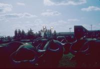 post-32650-0-86516200-1375493317_thumb.j