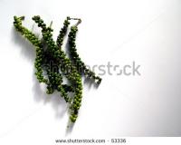 post-37101-0-90868200-1377844102_thumb.j