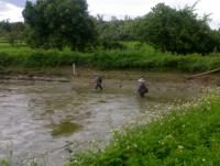 post-42398-0-15065600-1376889853_thumb.j