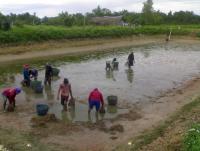 post-42398-0-21608800-1376889411_thumb.j