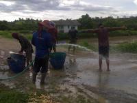 post-42398-0-22530900-1376890012_thumb.j