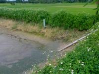 post-42398-0-30461800-1376889948_thumb.j