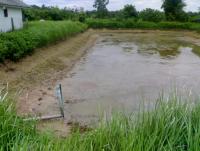 post-42398-0-36241500-1376889663_thumb.j