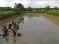 post-42398-0-48146400-1376889966_thumb.j