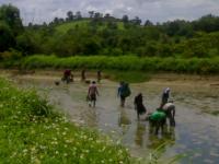 post-42398-0-49482400-1376889759_thumb.j