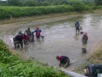 post-42398-0-49590300-1376889986_thumb.j