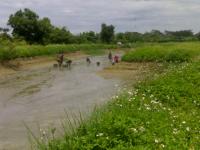 post-42398-0-55144400-1376889708_thumb.j