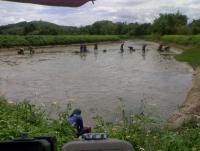 post-42398-0-61198000-1376889777_thumb.j