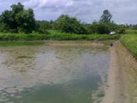 post-42398-0-68950200-1376889747_thumb.j