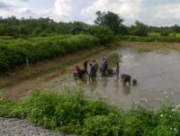 post-42398-0-73289600-1376889877_thumb.j