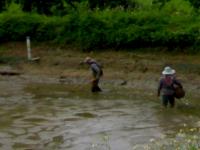 post-42398-0-78821600-1376889834_thumb.j