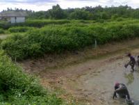 post-42398-0-88539600-1376889912_thumb.j