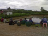 post-42398-0-93322200-1376889361_thumb.j