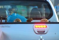 post-42667-0-58999200-1376726861_thumb.j