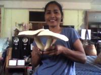 post-56811-0-28896100-1377142895_thumb.j