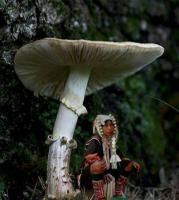 post-56811-0-42047900-1377305052_thumb.j