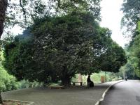 post-57055-0-01618100-1376632671_thumb.j