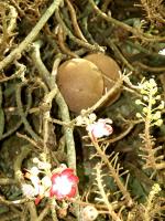 post-57055-0-14367600-1376631014_thumb.j