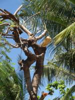 post-57055-0-66558700-1376630443_thumb.j