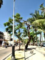 post-57055-0-66672000-1376630313_thumb.j