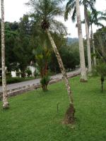 post-57055-0-82531100-1376631974_thumb.j