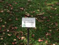 post-57055-0-97608600-1376631353_thumb.j