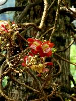 post-57055-0-99539400-1376631085_thumb.j