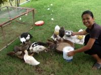 post-85853-0-27188800-1377398373_thumb.j