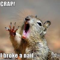 post-94947-0-27078500-1377840860_thumb.j