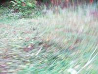 post-12069-0-01659800-1407414659_thumb.j