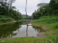 post-12069-0-34253400-1408108294_thumb.j