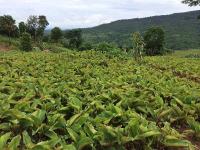 post-121798-0-26300900-1408011861_thumb.