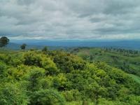 post-121798-0-70486000-1408011897_thumb.