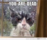 post-122647-0-44059000-1406894991_thumb.