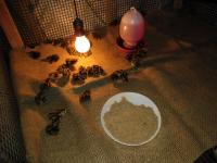 post-137315-0-77061000-1408885489_thumb.