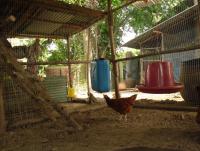 post-137315-0-94576400-1408516138_thumb.