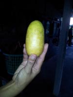 post-157194-0-56059900-1409388645_thumb.