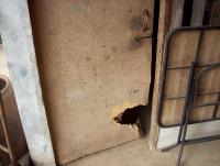 post-175700-0-05492400-1408240755_thumb.