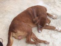 post-175700-0-26320400-1408240789_thumb.