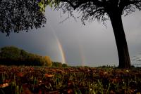 post-175700-0-48531300-1407037804_thumb.