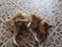 post-32351-0-11509600-1409382075_thumb.j