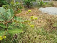 post-32351-0-33074800-1409491851_thumb.j