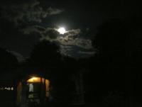 post-37242-0-96417800-1407698791_thumb.j