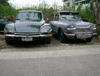 post-42643-0-02891000-1408457631_thumb.j