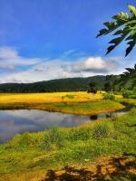 post-68260-0-80689600-1408680446_thumb.j