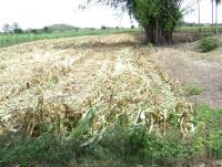 post-77463-0-28097800-1407991669_thumb.j