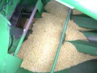 post-77463-0-95680000-1407981528_thumb.j