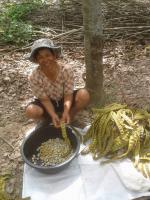 post-85853-0-36644200-1407079687_thumb.j