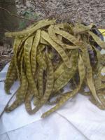 post-85853-0-81328700-1407079654_thumb.j