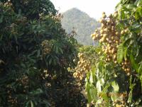 post-87221-0-06140300-1407559023_thumb.j